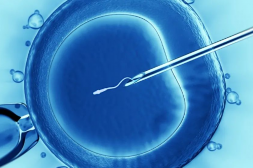 无锡试管包生男孩价格_无锡试管生宝宝