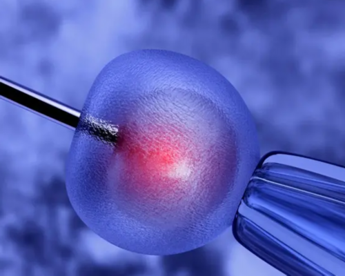 婴儿奶粉市场新宠：如何挑选适度水解奶粉？