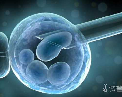 国内供卵价格多少+做试管代孕最好的医院,怎么证明输卵管是通的