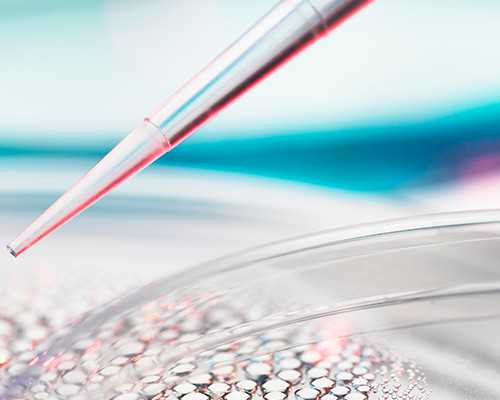 2026湖北省做试管供卵助孕的费用进行一个周期要准备6万左右