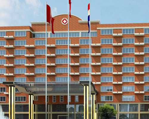 国内供卵中心有哪些_借卵试管代孕的案例,胚胎移植知识.ppt 第65页