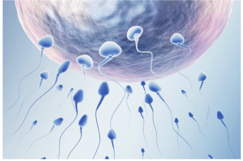 代生合法医院，吸烟对胎儿的影响_吸烟对孕妇的危害_男人吸烟对胎儿的影响