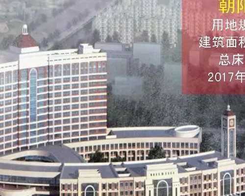 恒建助孕(珍怡在试管的作用),梅毒怀孕了孩子能要吗？