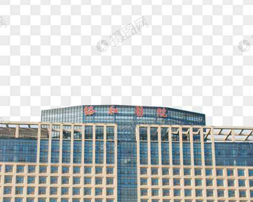 掌握四大要点，助你顺利排卵，两类食物助你轻松实现生育梦想