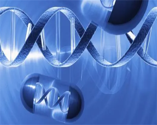 无锡女职工产假工资规定