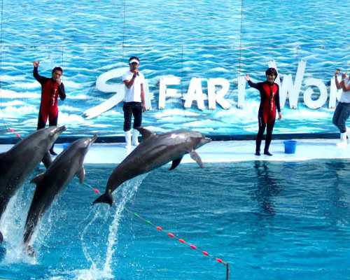 无锡助孕首页，无锡市精子库（无锡精子库捐精全过程）