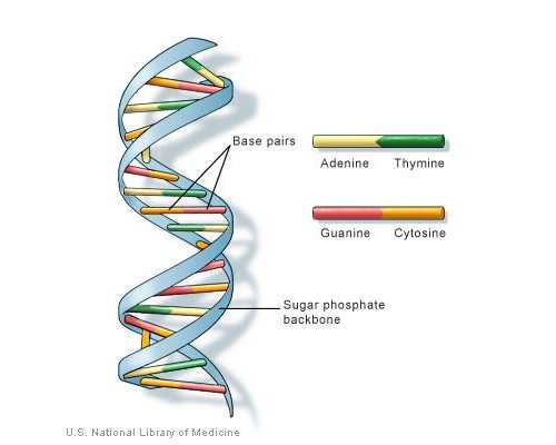 江苏正规供卵费用，江苏省痛经假