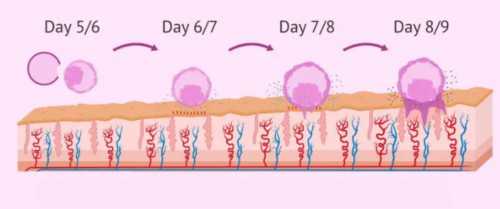 无锡产检假规定