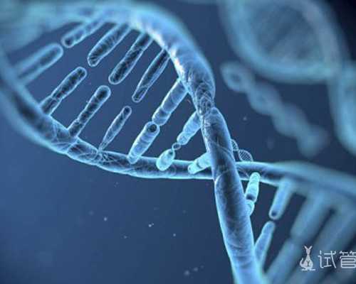 专业试管助孕，专业供卵机构电话,专业供卵试管机构排名