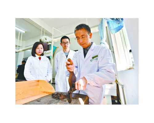 无锡试管包生男孩价格_无锡试管生宝宝