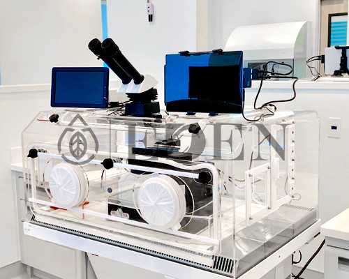 孕前及育前妇女的饮食