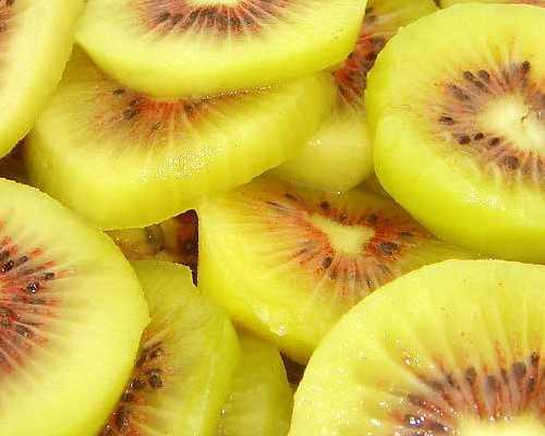 探索滴虫性阴道炎的惊人症状：五大饮食禁忌揭秘！