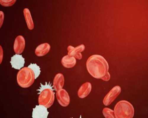 和美助孕中心(中美泰代孕机构),
              囊胚移植14天后仍没有出现着床出血