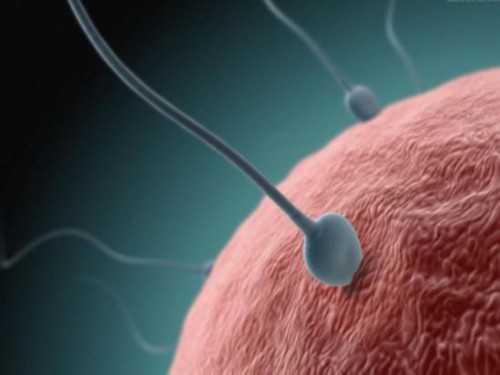 国内借卵生孩子_哪里有专业供卵代孕,洛阳比较厉害的三代试管医院预算！这篇