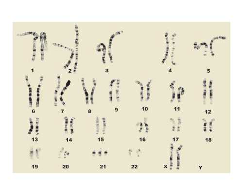 郑州助孕费用多少，代生育价格的合理性和公平性